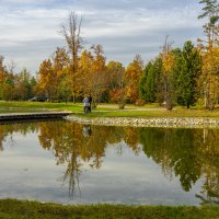 В Мещерском парке :: Владимир Езеров 