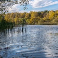 В парке Покровское-Стрешнево :: Александр Орлов