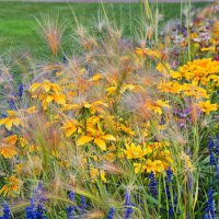 *** :: Witalij Löwin