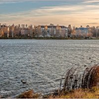 Осенний ветер. :: Aquarius - Сергей