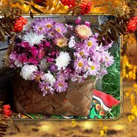 Разноцветная осень! :: Нина Андронова