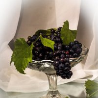 Виноград :: Людмила Павловна Крышковец