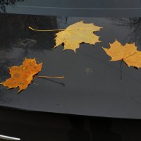 И поход в п-ку на перевязку на что-нибудь годится :: Андрей Лукьянов