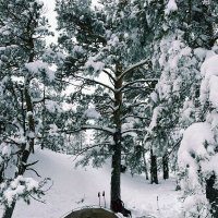 Зимой в походе :: Георгиевич Зимой в походе :: Георгиевич