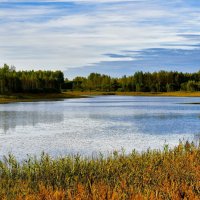 Про озёра Смоленщины. :: Милешкин Владимир Алексеевич 