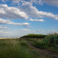 Утро :: **** vedin