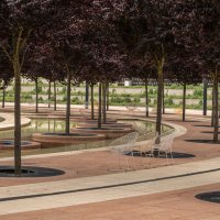 Краснодар, парк Галицкого :: Игорь Сикорский