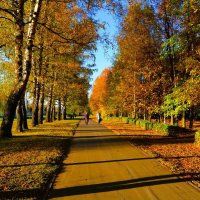 Чебоксары. Осенняя аллея пр. Ивана Яковлева. :: Пётр Чернега Чебоксары. Осенняя аллея пр. Ивана Яковлева. :: Пётр Чернега