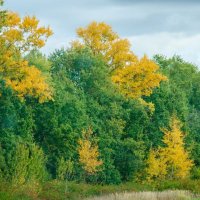 Начало осени :: Галина Ложечникова