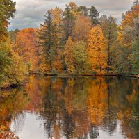 Елагин остров :: skijumper Иванов