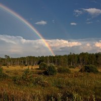 Радуга над полем :: MILAV V