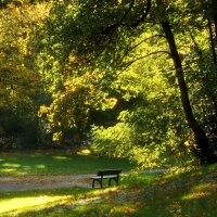 Утро октября :: Юрий. Шмаков Утро октября :: Юрий. Шмаков