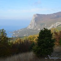 Природа Крыма :: Amazing Cosmea