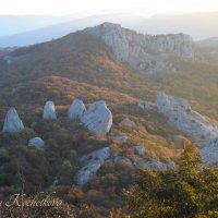 Природа Крыма :: Amazing Cosmea