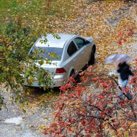 Ненастный день :: Александр Синдерёв Ненастный день :: Александр Синдерёв