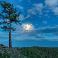 Лунный вечер на перевале (22:58). Ильменский хребет, г. Миасс, Машгородок. :: Алексей Трухин
