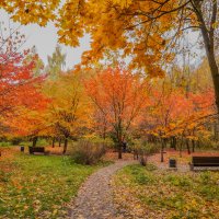 В осеннем парке... :: Владимир Жданов