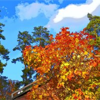 Золотая осень :: Юрий Владимирович 34