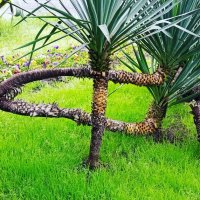 Упс :: Serega SchütZ