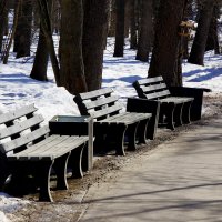 В Кузьминском парке :: Игорь Белоногов