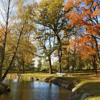 осень :: ИННА ПОРОХОВА осень :: ИННА ПОРОХОВА