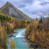 **** :: Алексей Мезенцев **** :: Алексей Мезенцев