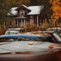 Заброшенки :: Лилия .