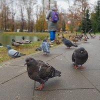 ***** :: юрий поляков