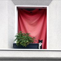 Здравствуйте! :: Валерий Готлиб