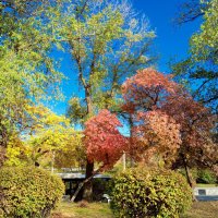 Ростовская осень :: Нина Бутко