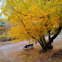 Осень в Самаре :: Надежда 