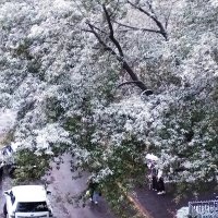 12.10.2025 Первый снег :: Людмила Фил