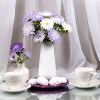 Нежные астры :: Людмила Павловна Крышковец Нежные астры :: Людмила Павловна Крышковец