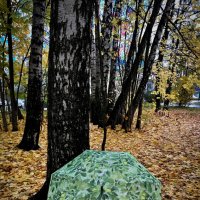 Зонтик, осень, рядом  я…) :: Любовь 