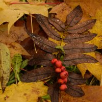 Краски осени :: Мария Яковлева