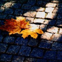 Осень 5 :: Алексей Кузнецов Осень 5 :: Алексей Кузнецов
