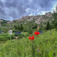 На альпийском лугу вокруг монастыря :: Galina 