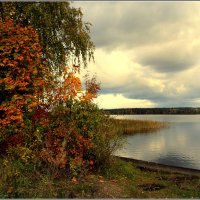 На озере... :: Aleksandr Gal