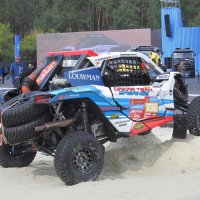 ......... :: Елена Шаламова ......... :: Елена Шаламова