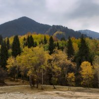 Осень не красках не экономит ) :: LudMila 