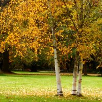 Три сестрёнки :: Юрий. Шмаков