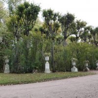 Павловск, Павловский парк :: Галина Минчук