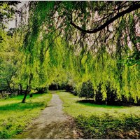 ТРОПИНКА... :: Elvira E. 