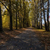 Экотропа Бурнаковская низина в Нижнем Новгороде :: Александр Синдерёв