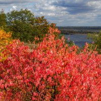 Краски осени :: Наталья Димова Краски осени :: Наталья Димова