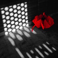 Свет, тень и цвет :: Игорь 