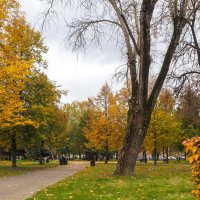 Осенний Сюжет :: юрий поляков