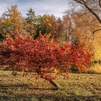 Осень :: Владимир Колесников