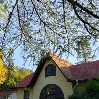 МАЦЕСТА :: Tata Wolf