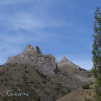 Природа Крыма :: Amazing Cosmea